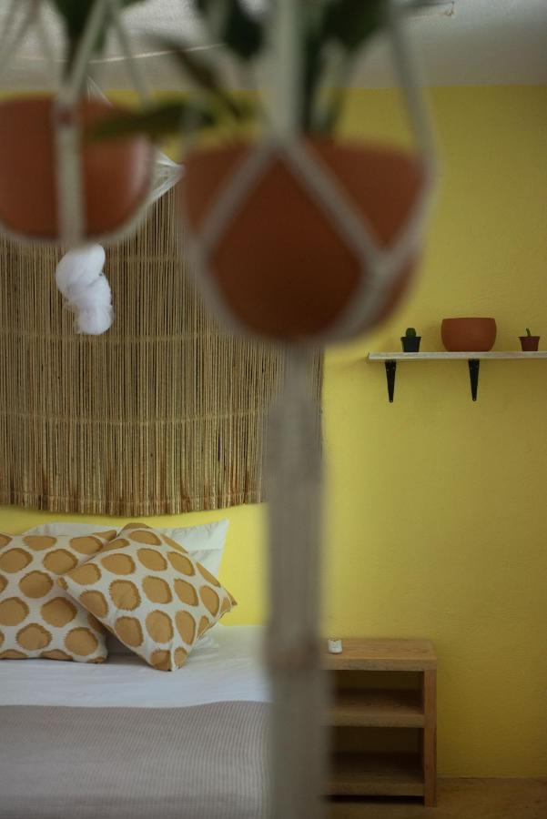 La Punta Beach House 埃斯孔迪多港 外观 照片